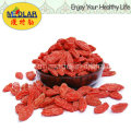 Native Goji Beere Lycium Chinense